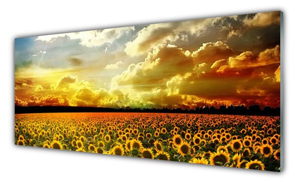 Tablou pe sticla Meadow Sunflowers Floral Galben Maro
