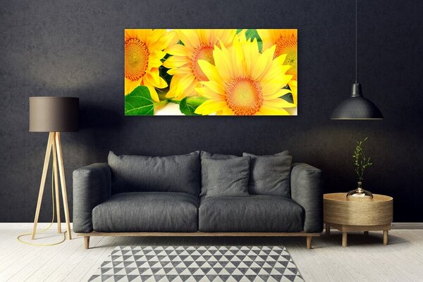 Tablou pe sticla Floarea soarelui Floral Galben