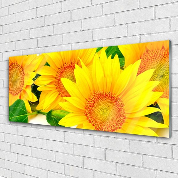 Tablou pe sticla Floarea soarelui Floral Galben