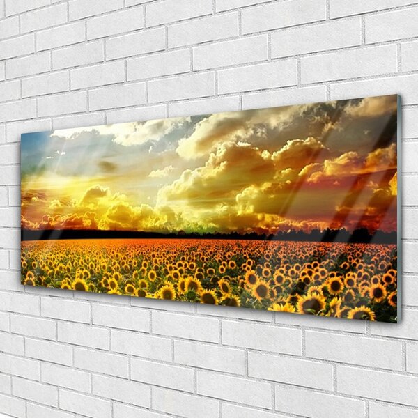 Tablou pe sticla Meadow Sunflowers Floral Galben Maro