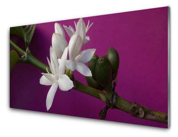 Panou sticla bucatarie Flower Tulpini Floral Alb Verde