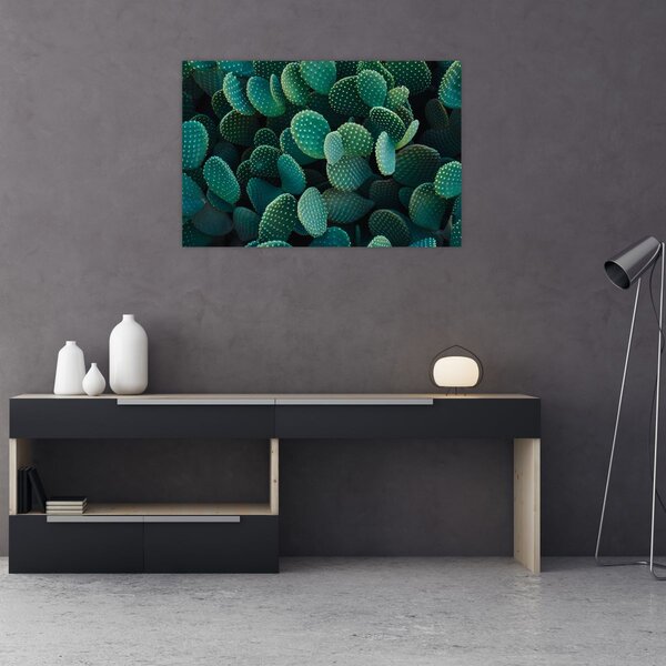 Tablou - Opuntia (90x60 cm)