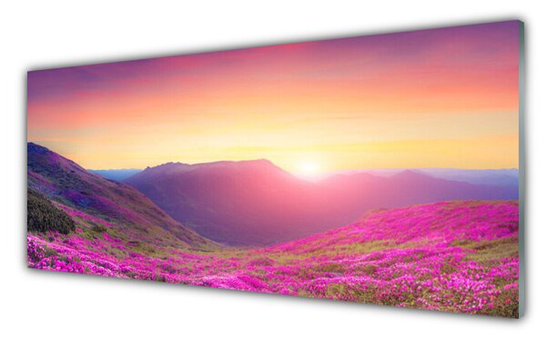 Panou sticla bucatarie Sun Mountain Meadow Natura Galben Albastru Verde Roz