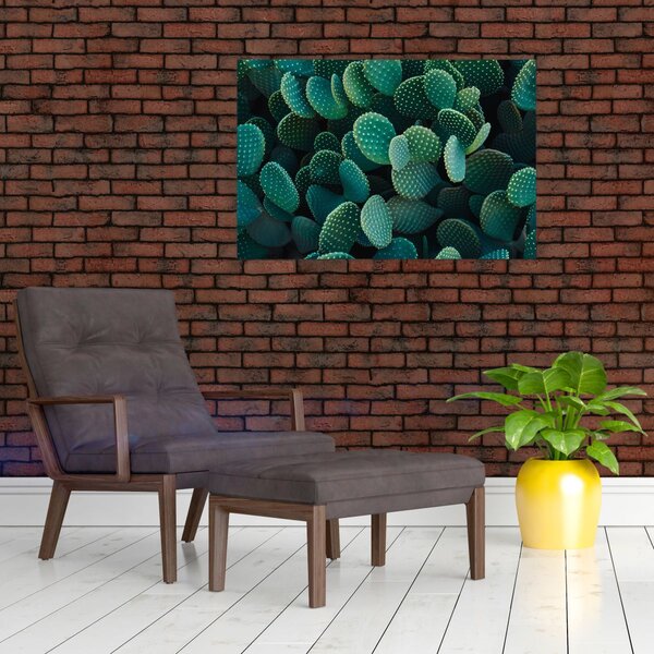 Tablou - Opuntia (90x60 cm)