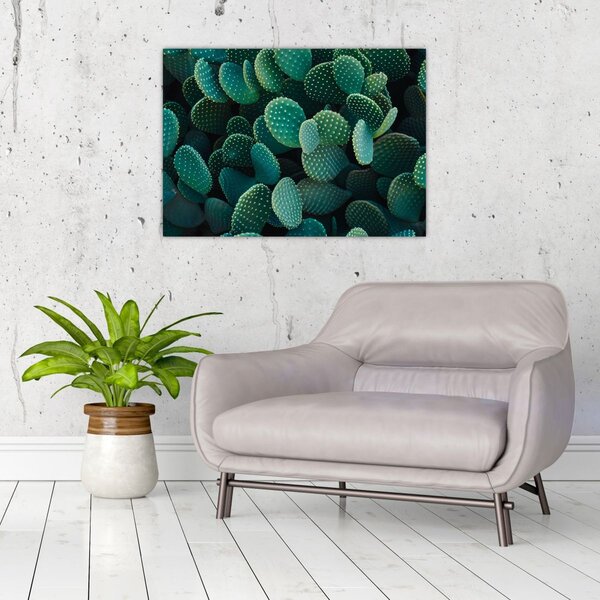 Tablou - Opuntia (70x50 cm)