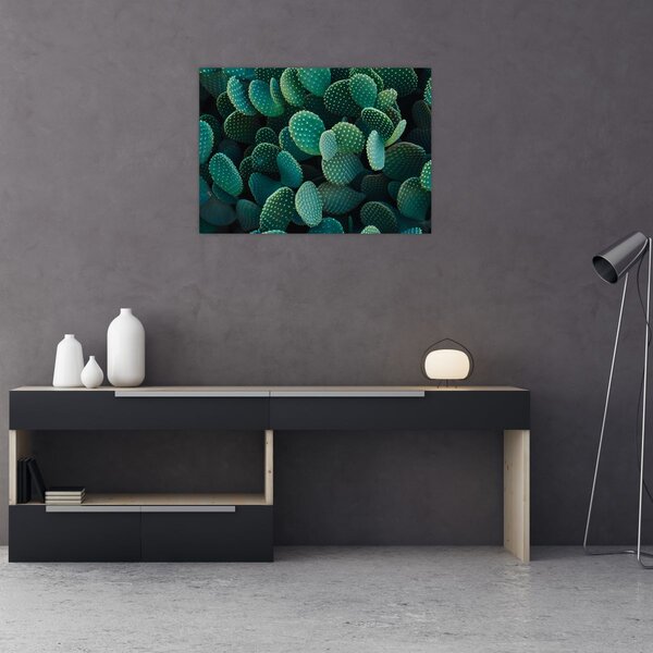 Tablou - Opuntia (70x50 cm)