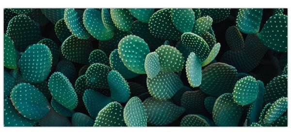 Tablou - Opuntia (120x50 cm)