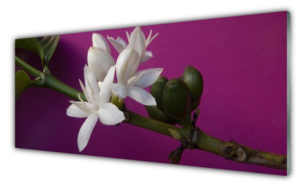 Panou sticla bucatarie Flower Tulpini Floral Alb Verde