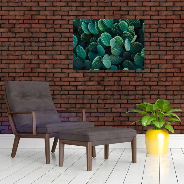 Tablou - Opuntia (70x50 cm)
