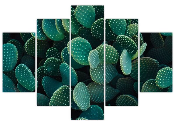Tablou - Opuntia (150x105 cm)