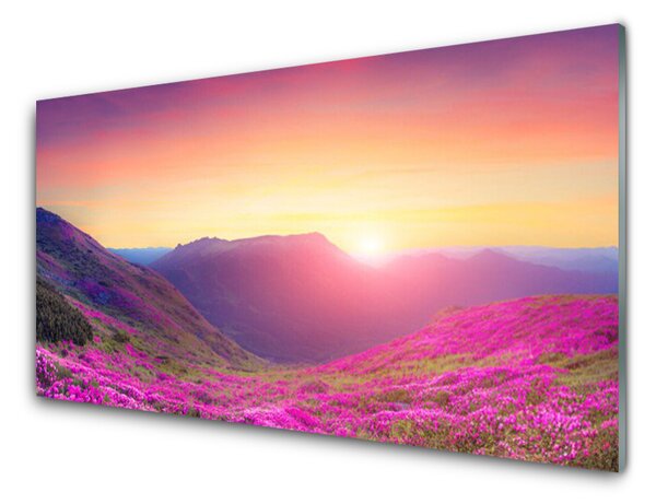 Panou sticla bucatarie Sun Mountain Meadow Natura Galben Albastru Verde Roz
