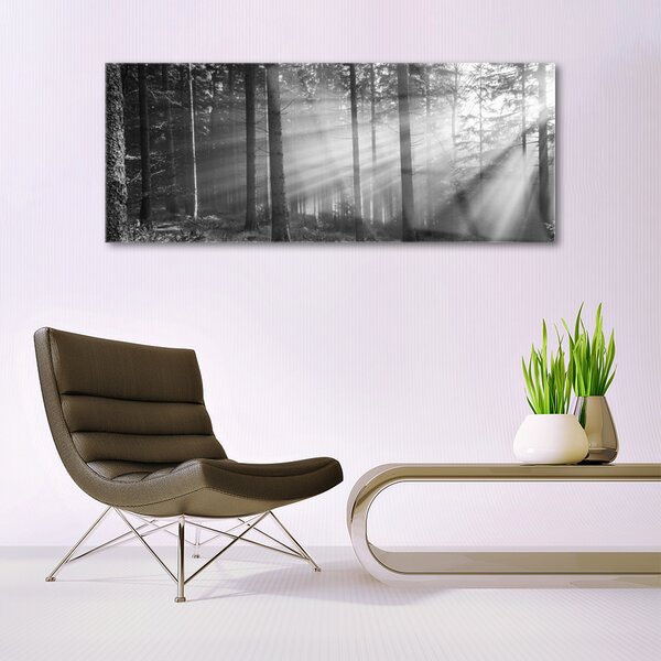Tablou pe sticla Forest Nature Gray