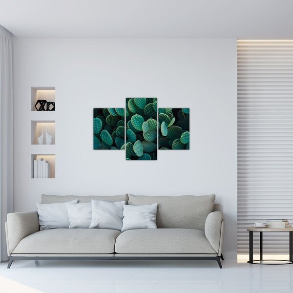 Tablou - Opuntia (90x60 cm)