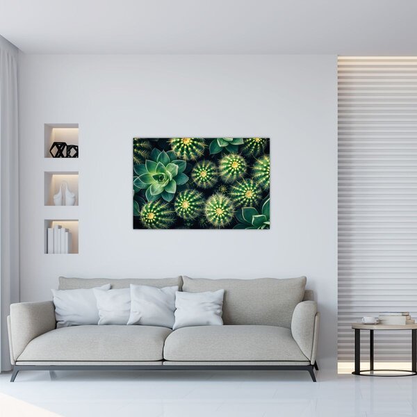 Tablou - Cactuși (90x60 cm)