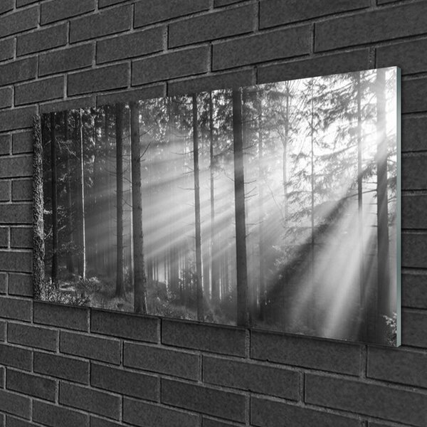 Tablou pe sticla Forest Nature Gray