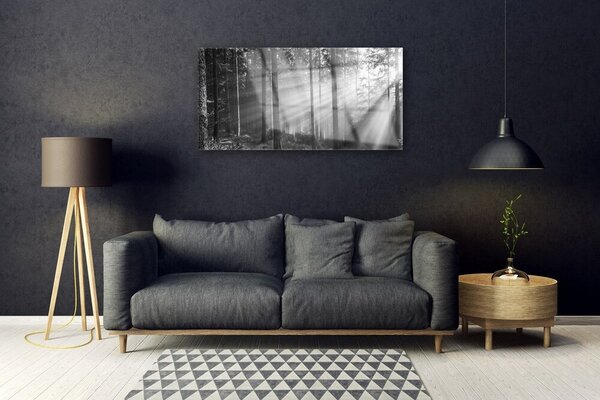 Tablou pe sticla Forest Nature Gray