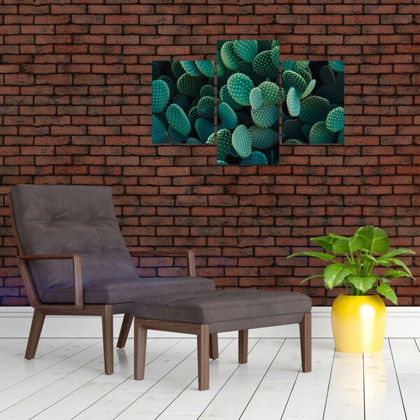 Tablou - Opuntia (90x60 cm)