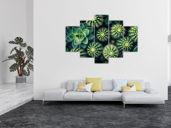 Tablou - Cactuși (150x105 cm)