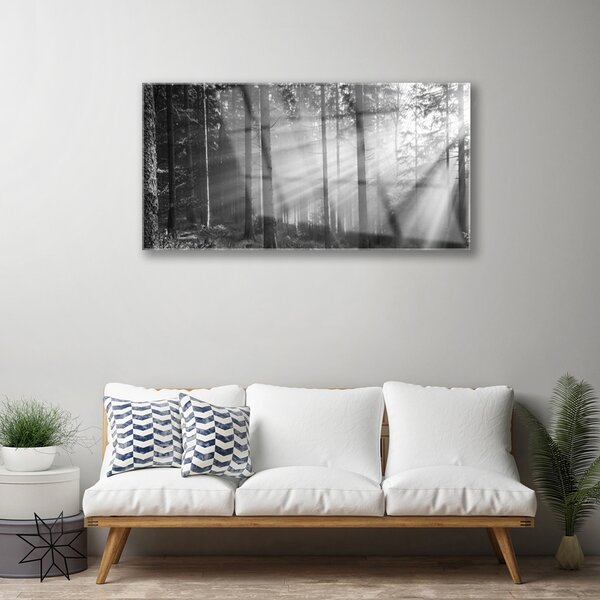 Tablou pe sticla Forest Nature Gray