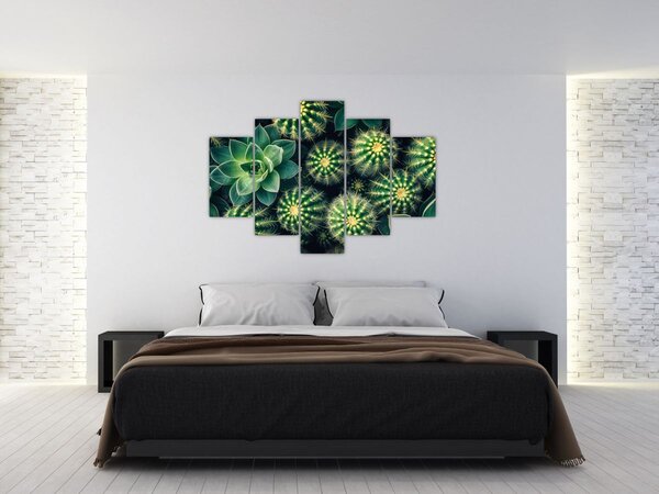 Tablou - Cactuși (150x105 cm)