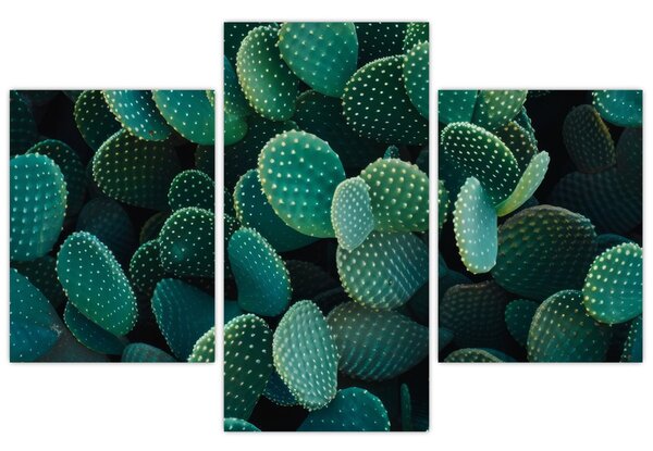 Tablou - Opuntia (90x60 cm)