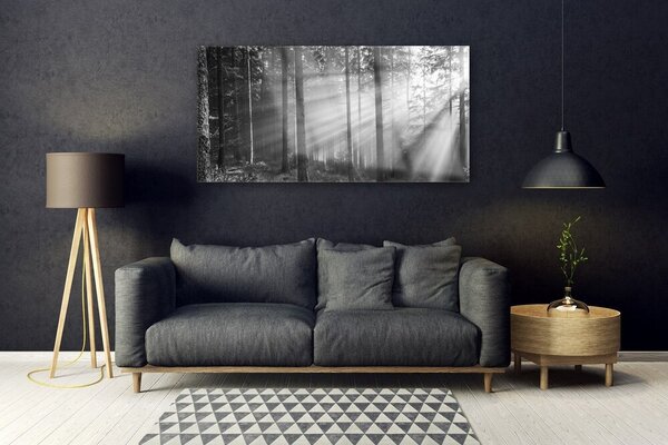 Tablou pe sticla Forest Nature Gray