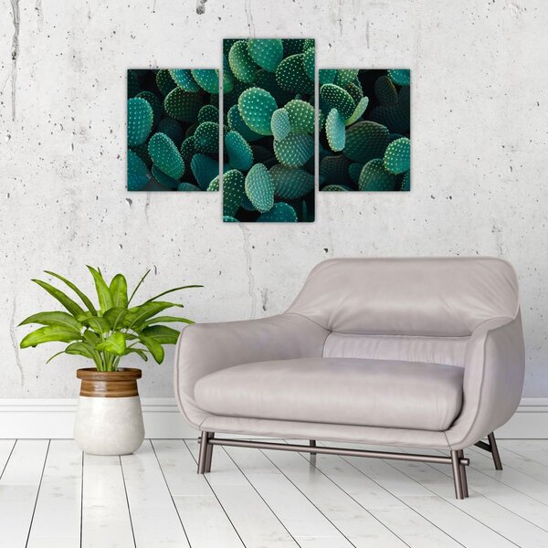 Tablou - Opuntia (90x60 cm)