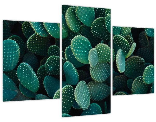 Tablou - Opuntia (90x60 cm)