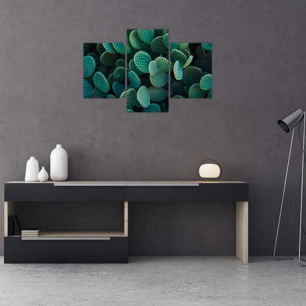 Tablou - Opuntia (90x60 cm)
