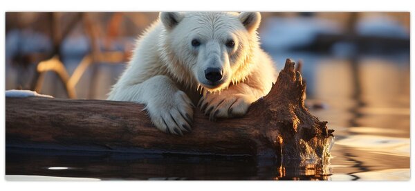 Tablou - Ursul polar (120x50 cm)