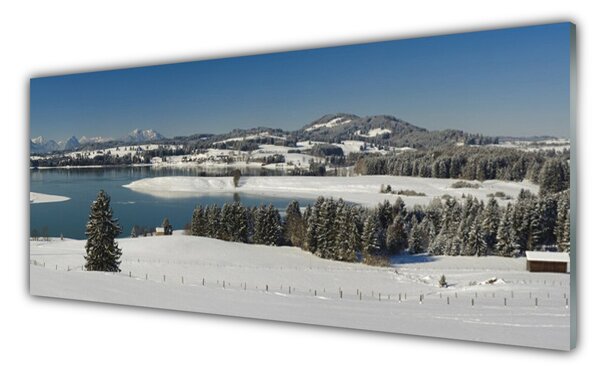 Tablou pe sticla Snow Lake Peisaj Forestier Albastru Alb Verde
