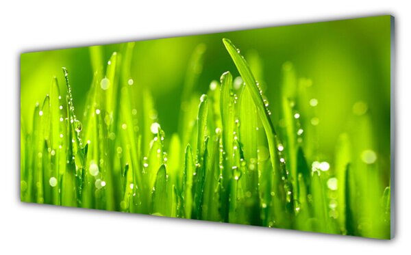Tablou pe sticla Weed Natura verde