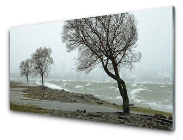 Panou sticla bucatarie Copaci Natura Brown