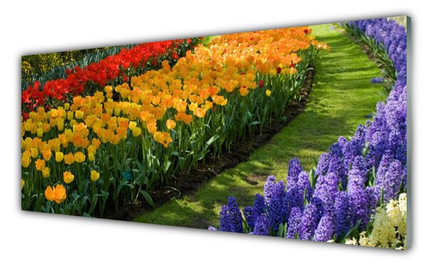 Tablouri acrilice Flori Floral Verde Roșu Galben Violet