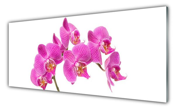Tablou pe sticla Flori roz Floral