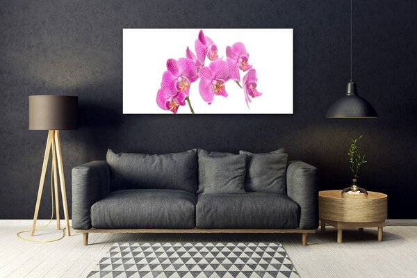 Tablou pe sticla Flori roz Floral