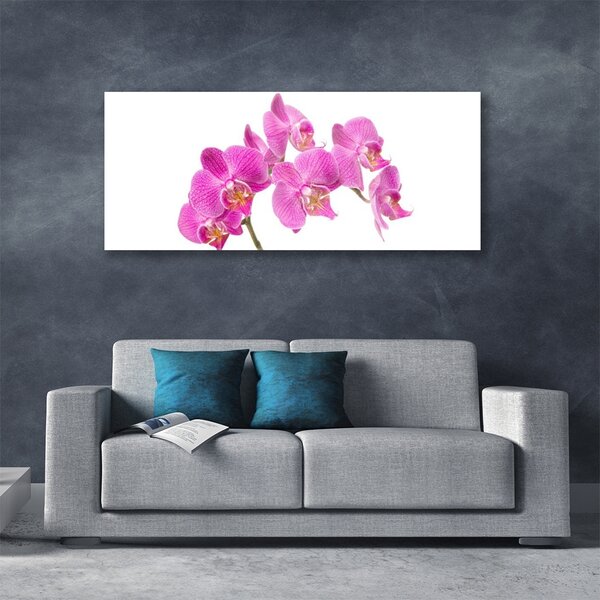 Tablou pe sticla Flori roz Floral