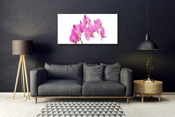 Tablou pe sticla Flori roz Floral