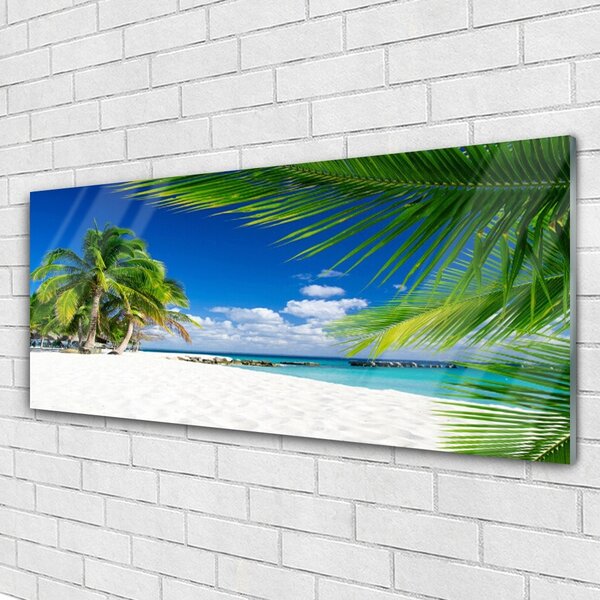 Tablou pe sticla Palm Beach Copaci Peisaj Brun Verde
