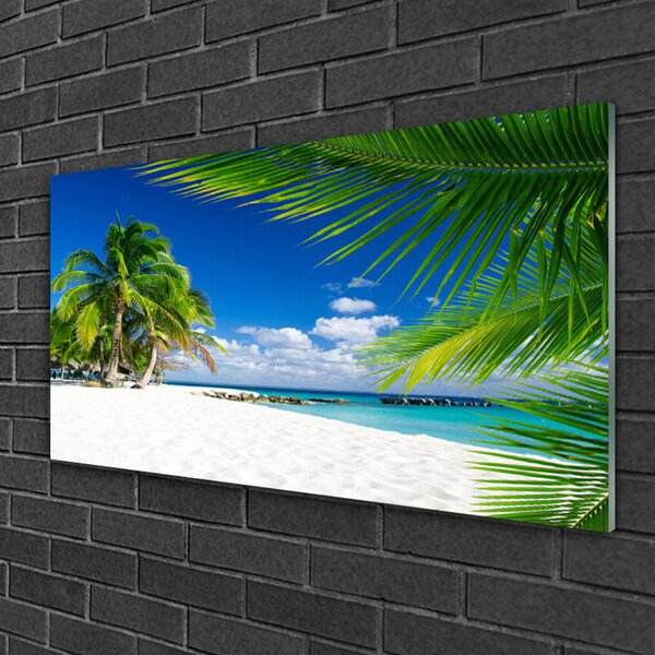 Tablou pe sticla Palm Beach Copaci Peisaj Brun Verde