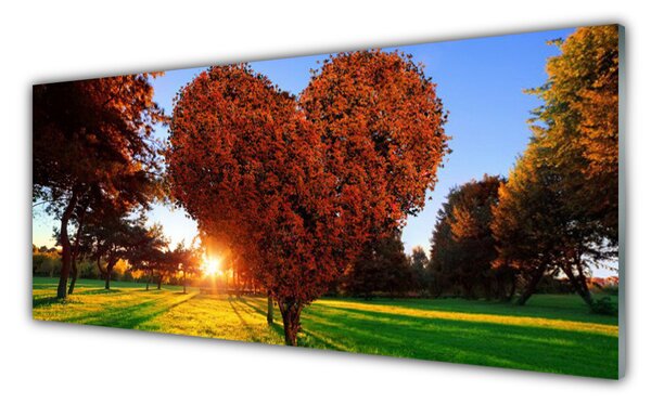 Tablou pe sticla Soare Copaci Natura Brun Galben