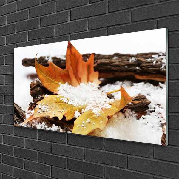 Tablou pe sticla Leaf Floral Brown