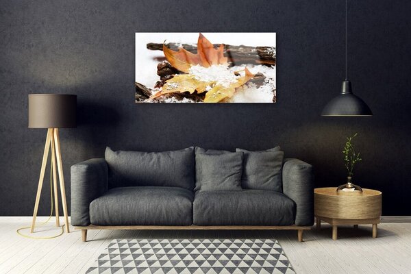 Tablou pe sticla Leaf Floral Brown