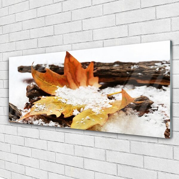 Tablou pe sticla Leaf Floral Brown