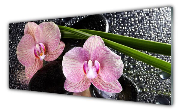 Tablou pe sticla Flori Floral Verde Roz