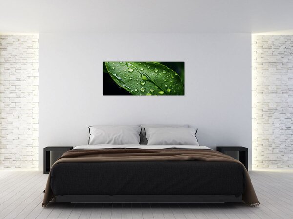 Tablou - Frunză după ploaie (120x50 cm)