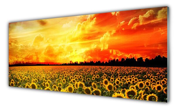 Tablouri acrilice Meadow Sunflowers Floral Verde Galben Maro