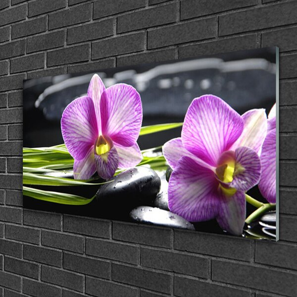 Tablou pe sticla Pietrele florale flori roz negru