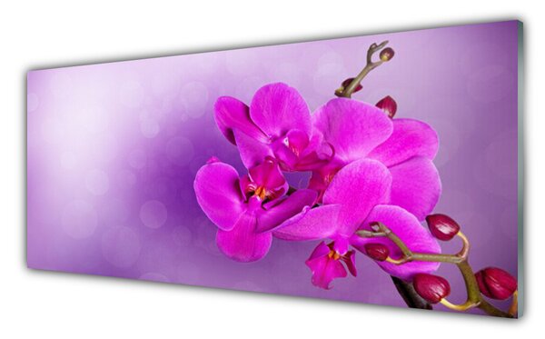Tablou pe sticla Flori roz Floral