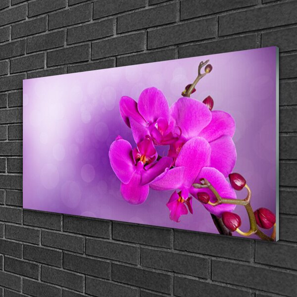 Tablou pe sticla Flori roz Floral